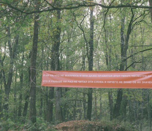 Parole sbagliate e baci negati: i vincitori del premio promosso da Collezione Taurisano