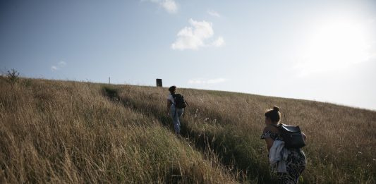 Azzorre: arcipelago degli ecosistemi, e della reinvenzione dell’arte