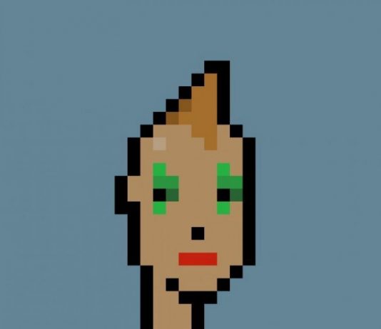 Non-Fungible Token, Visa acquista un CryptoPunk per 150mila dollari Visa