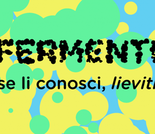 L’Italia, Paese per giovani? Il curioso caso del Bando Fermenti