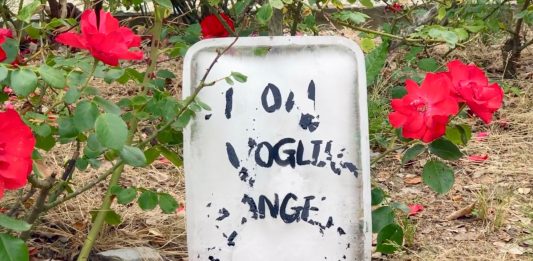 Not An Artist: i progetti degli studenti IED alla prova del campo, tra online e onlife