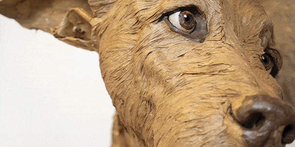 newsletter-exhibart-600x300