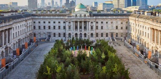 L’arte a servizio dell’ecologia: 5 nuove foreste in città