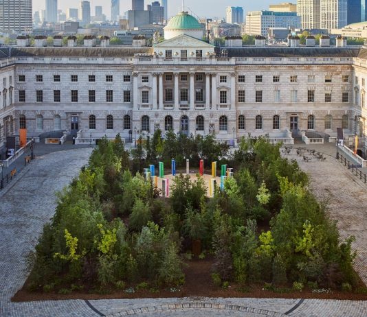 L’arte a servizio dell’ecologia: 5 nuove foreste in città