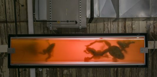 Arte e scienza in dialogo a tre voci, al Palazzo delle Esposizioni di Roma