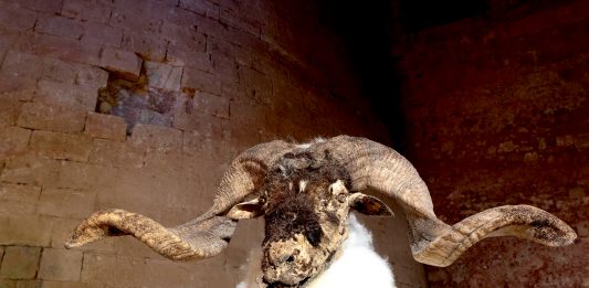 Difficile, il paradiso: intervista a Maria Papadimitriou