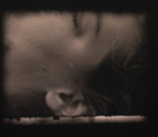 Anna Pezzoli all’Anonima Kunsthalle, Varese