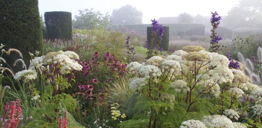 L’Erbario in viaggio – sedi varie