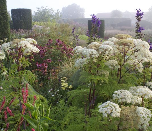 L’Erbario in viaggio – sedi varie