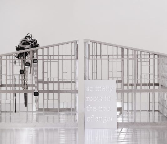 Chi ha costruito cosa? E per chi? Intervista a Monica Bonvicini