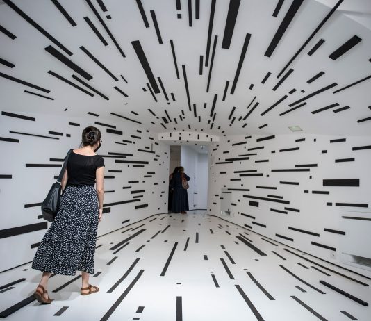 Una camera picta, per indagare lo spazio come “dispositivo”