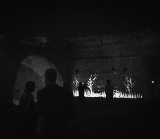 Con il progetto Avant – Young, Volvo premia gli studenti delle Accademie