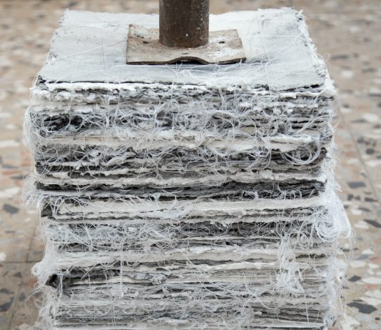 Giulio Locatelli a Platea | Palazzo Galeano con ‘Tecla’. Le parole dell’artista