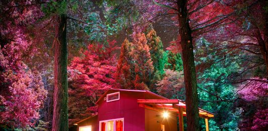 PhMuseum Days: a Bologna arriva un nuovo festival di fotografia contemporanea Natur-e © Alejandro Chaskielberg