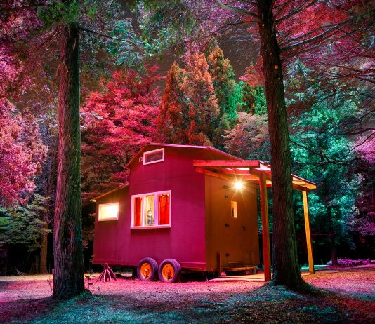 PhMuseum Days: a Bologna arriva un nuovo festival di fotografia contemporanea Natur-e © Alejandro Chaskielberg