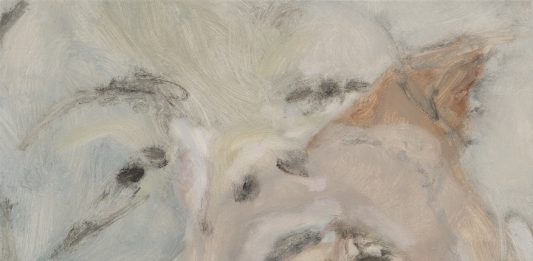 Rosario Vicidomini, Minacce di Morte al Cane Unicorno – Curva Pura