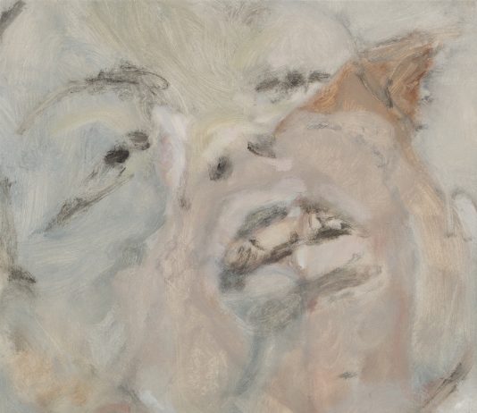 Rosario Vicidomini, Minacce di Morte al Cane Unicorno – Curva Pura