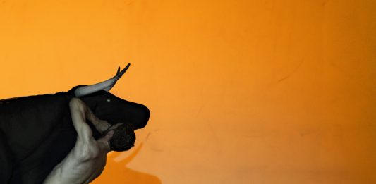 La metamorfosi e il mito del Minotauro secondo Papaioannou