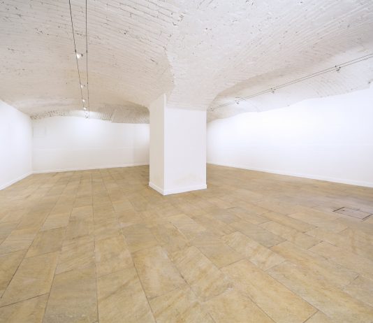 Dinamica, fresca, emergente e un po’ weird: a Milano apre la Candy Snake Gallery