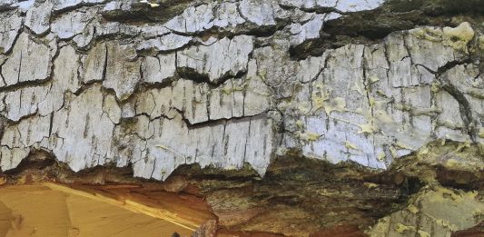 Najm, a Napoli l’arte contemporanea apre terrazze, cortili e giardini