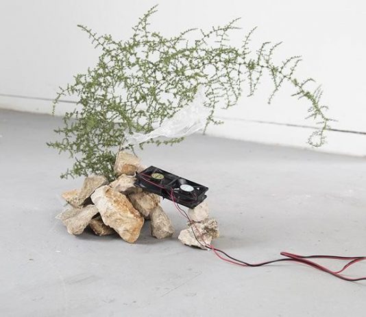 In quattro per la sostenibilità: i vincitori del premio Carapelli for Art 2021