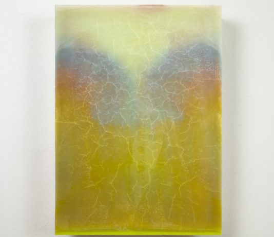 Arte e natura in dialogo: Stefano Cescon vince il Premio Cramum