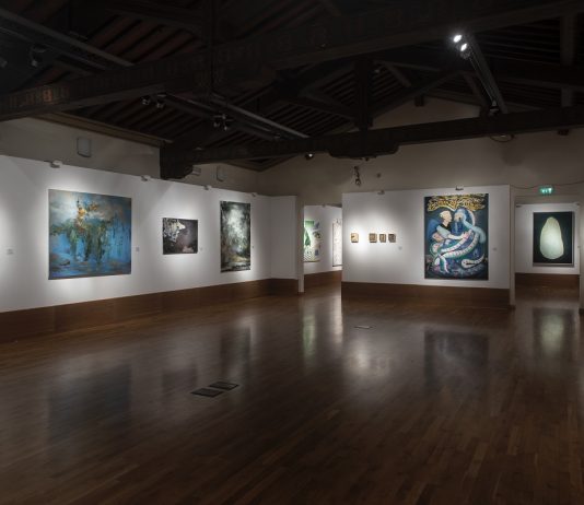 Il Combat Prize 2021 apre le porte: ecco i finalisti in mostra a Livorno