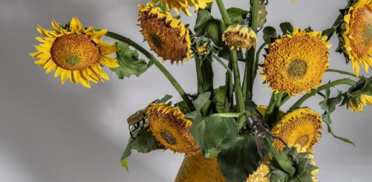 BERTOZZI & CASONI “EVERGREEN” Dal 2 ottobre al 30 novembre 2021 Claudio Poleschi Arte Contemporanea San Marino