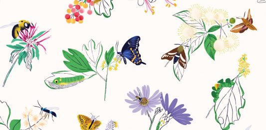 La giornata degli insetti alla High Line di New York, tra arte e poesia