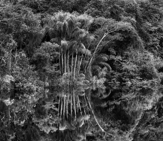 Al MAXXI ambizione e impegno ecologista con la mostra Amazônia di Sebastião Salgado