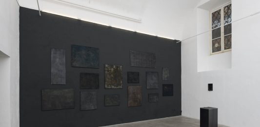 Nicola Samorì, Manuale della mollezza e la tecnica dell’eclisse – Monitor