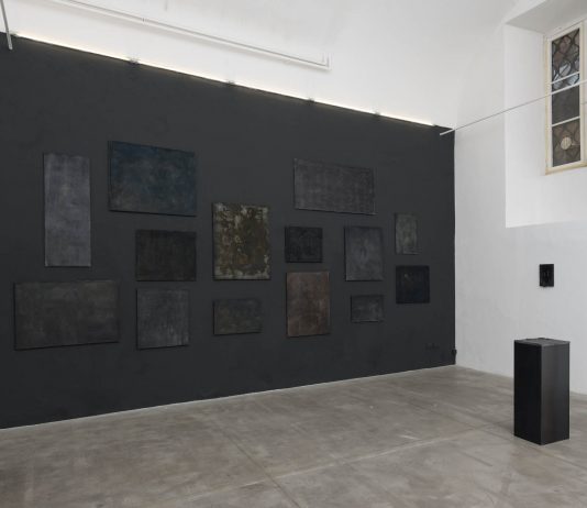 Nicola Samorì, Manuale della mollezza e la tecnica dell’eclisse – Monitor