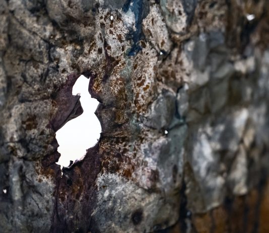 Francesca Leone, Ulteriori gradi di libertà, nella città che resiste – Gallerie d’Italia Francesca Leone