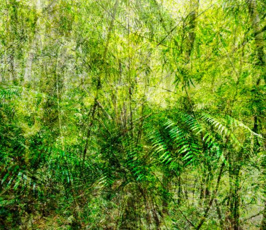 Art&Co Gallerie porta gli scatti di Alessandro Valeri e Ottavio Celestino a MIA Fair