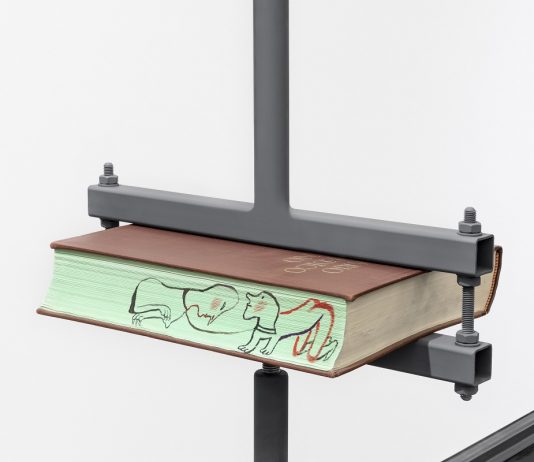 L’altro spessore del libro: otto artisti al MACRO e alla Hertziana