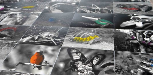 Paolo Cirio, Natural Sovereignty – Certosa