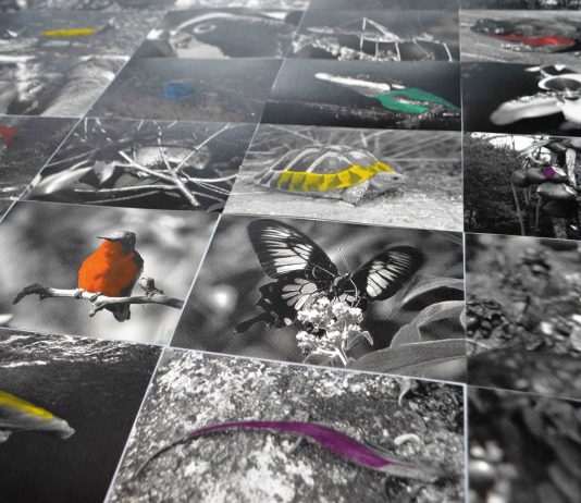 Paolo Cirio, Natural Sovereignty – Certosa