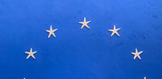 Wake me up when BienNoLo ends: cosa rimane alla città?