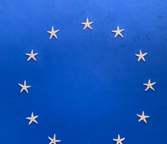 Wake me up when BienNoLo ends: cosa rimane alla città?