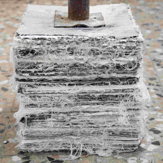 _MG_5087©STUDIOMESSINA2021