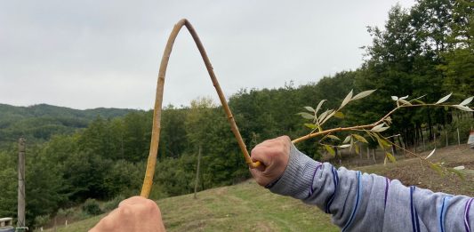 Residenza A Cielo Aperto a Latronico: intervista a Giovanni Viceconte