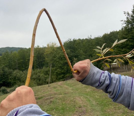 Residenza A Cielo Aperto a Latronico: intervista a Giovanni Viceconte
