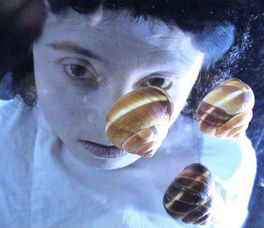 La creatività delle donne. Al festival Natura Dèi Teatri