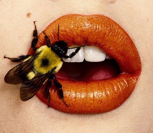 Gli scatti di Irving Penn in mostra a Milano
