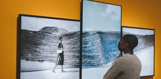 Professione NOT AN ARTIST: intervista ai protagonisti del progetto IED