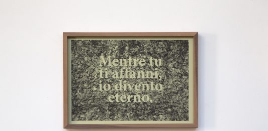 Torino Art Week by Untitled #3: guida a San Salvario e Borgata Rosa-Sassi