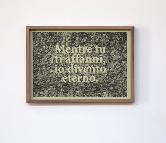 Torino Art Week by Untitled #3: guida a San Salvario e Borgata Rosa-Sassi