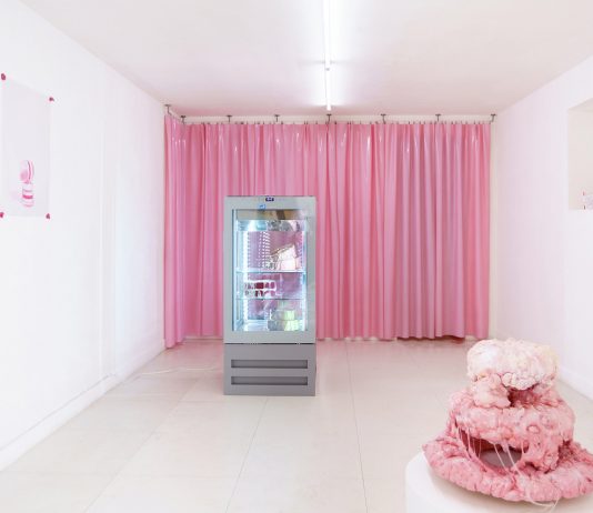 Alice Pilusi con ‘My Purble Place’ a L’Ascensore, Palermo