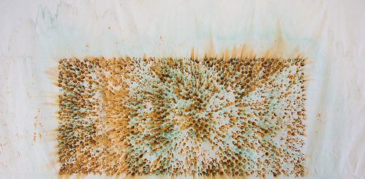 Eventualmente Femminile: intervista a Veronica Montanino e Anna Maria Panzera