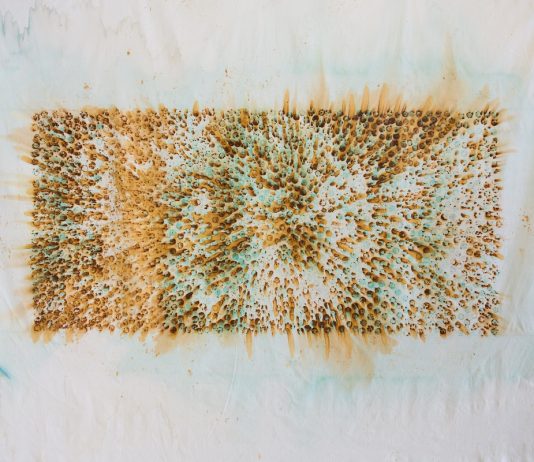 Eventualmente Femminile: intervista a Veronica Montanino e Anna Maria Panzera